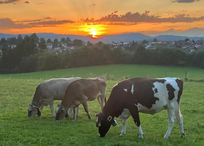 Am Bach *