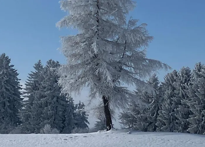 Am Bach Sulzberg